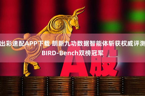 出彩速配APP下载 朗新九功数据智能体斩获权威评测BIRD-Bench双榜冠军