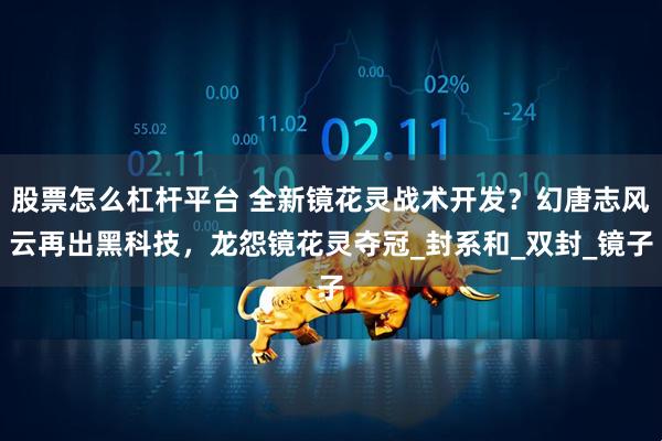 股票怎么杠杆平台 全新镜花灵战术开发？幻唐志风云再出黑科技，龙怨镜花灵夺冠_封系和_双封_镜子