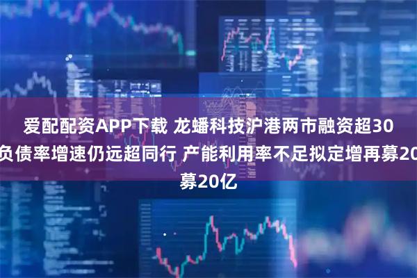 爱配配资APP下载 龙蟠科技沪港两市融资超30亿负债率增速仍远超同行 产能利用率不足拟定增再募20亿